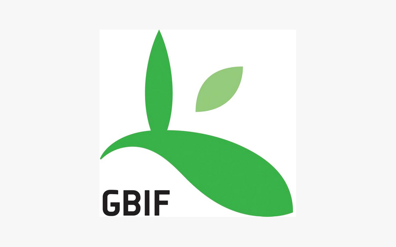 Сотрудник МГУ был удостоен звания «Biodiversity Open Data Ambassador»