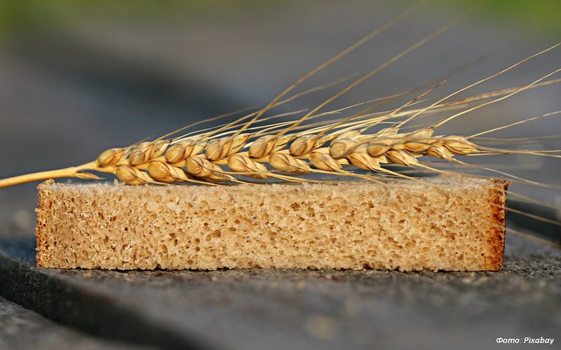 В Орле разработали программу для проектирования продуктов сбалансированного питания