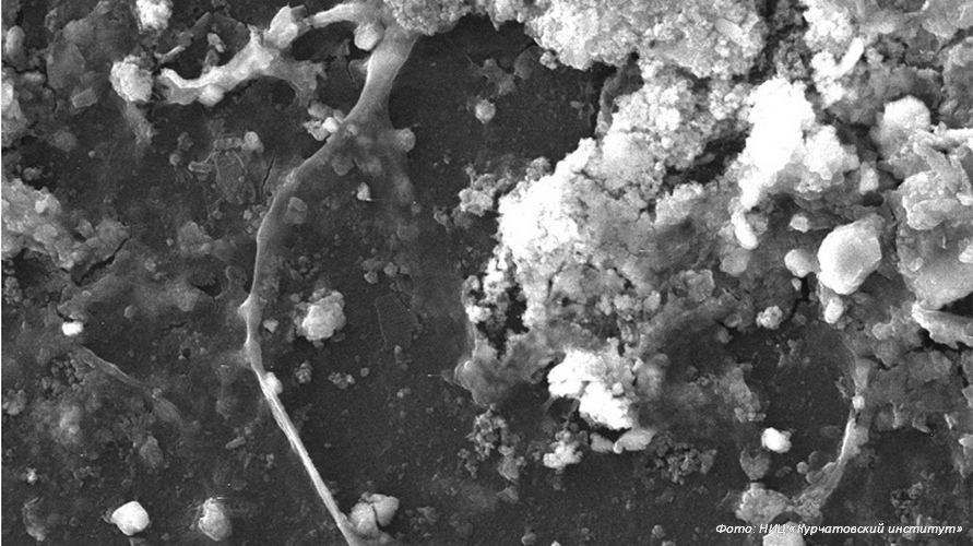 При поддержке Курчатовского института проведено исследование микробиологического разрушения полимеров в водоёмах с промышленным загрязнением