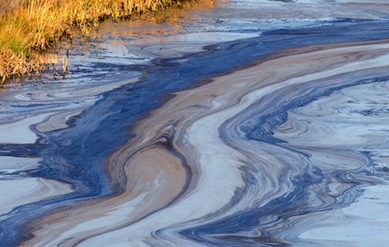 Физики научились очищать воду от нефти с помощью наночастиц и магнитов