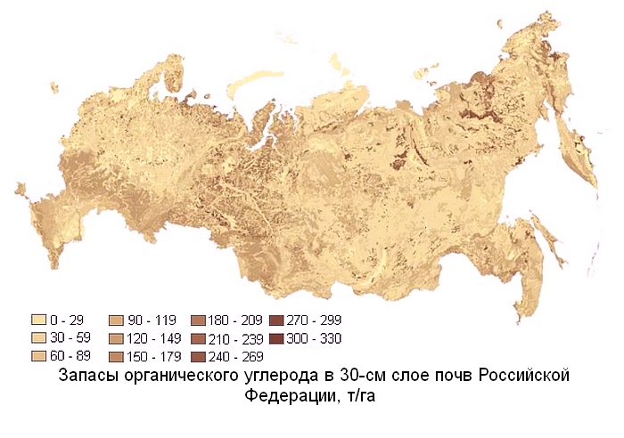 Ученые оценили запасы углерода в почвах России
