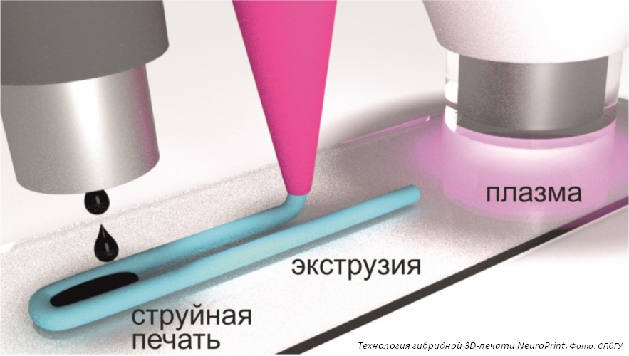 Учёные СПбГУ создали технологию печати нейропротезов на 3D-биопринтере