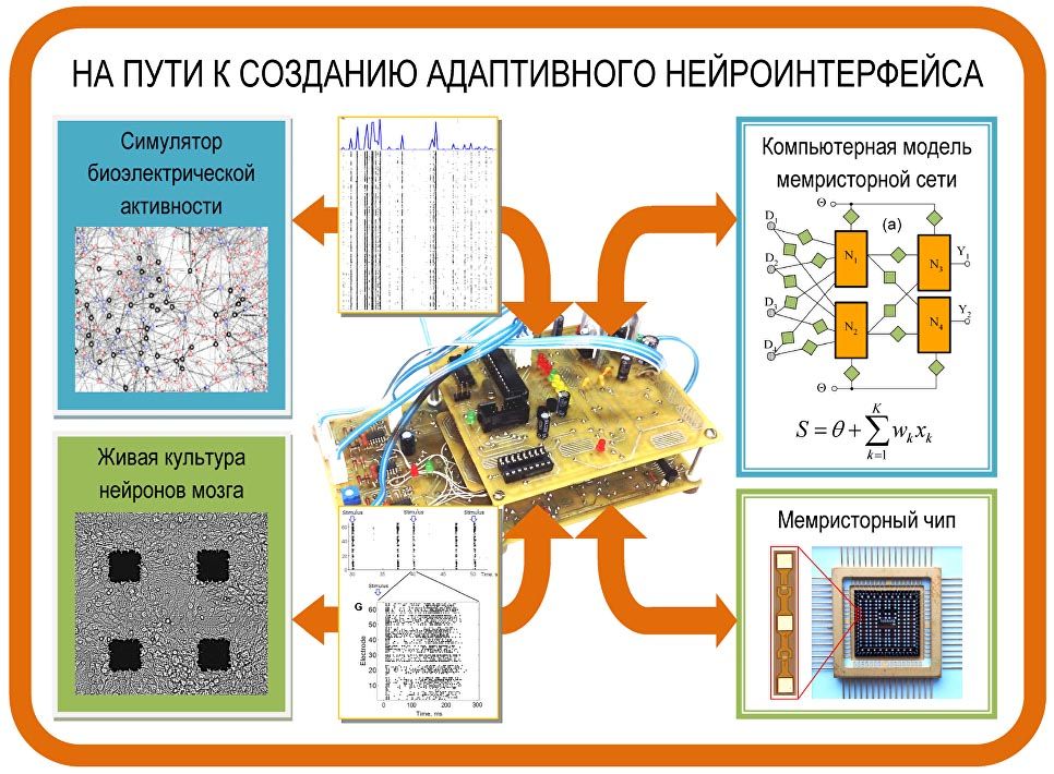 Проведены первые попытки срастить нейроны мозга с микросхемой