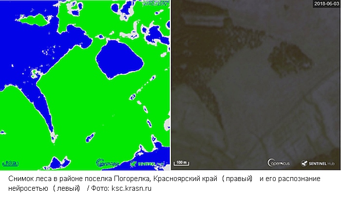 Искусственный интеллект определит границы лесов по космическим фотографиям
