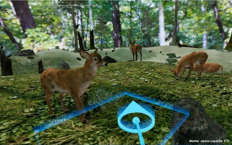 В саванну на урок: в ТГУ создали VR-заказник для изучения животных