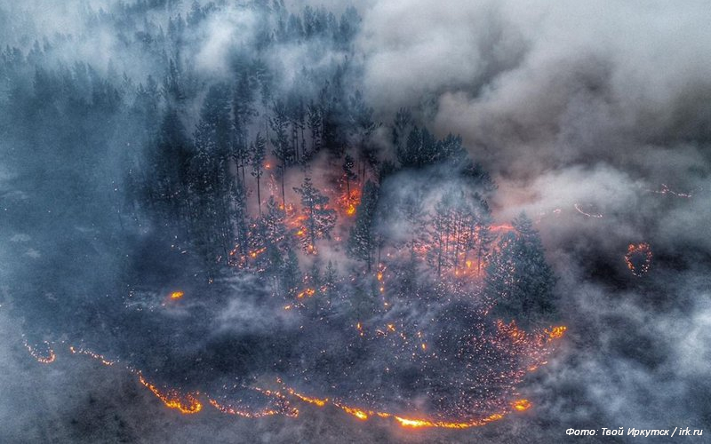 Ученые выяснили, сколько раз за 9000 лет горели сибирские торфяники
