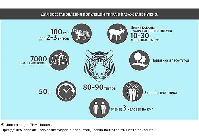 В Казахстан вернут опаснейшего хищника, истребленного полвека назад