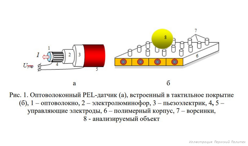 Датчик учёных Пермского Политеха повысит чувствительность роботов и бионических протезов с помощью «вибрисс»