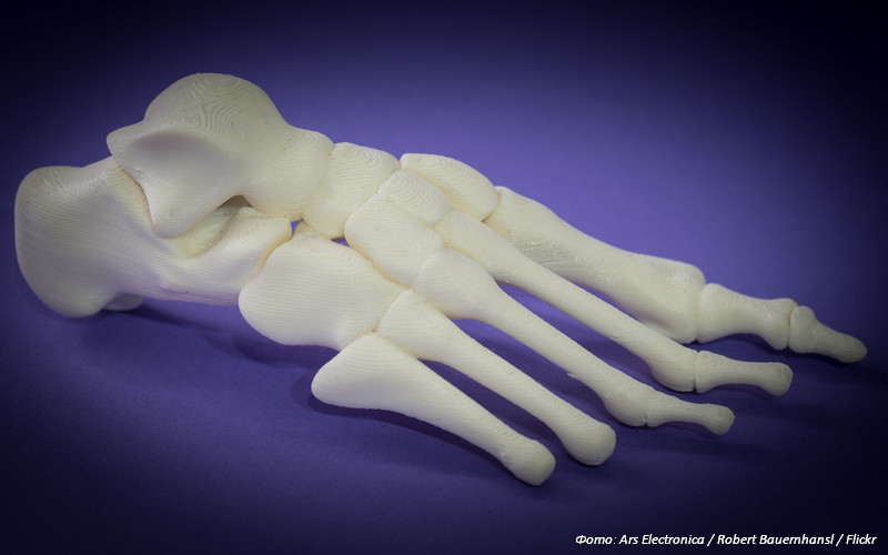 Новосибирские учёные создают модель 3D-принтера для печати биокерамических имплантов
