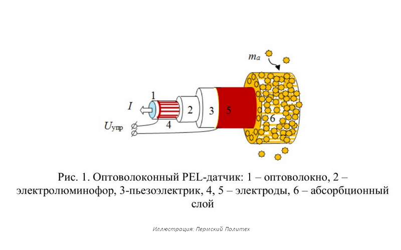 Устройство учёных Пермского Политеха улучшит «обоняние» роботов
