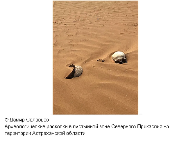 В астраханской пустыне обнаружили сарматское погребение