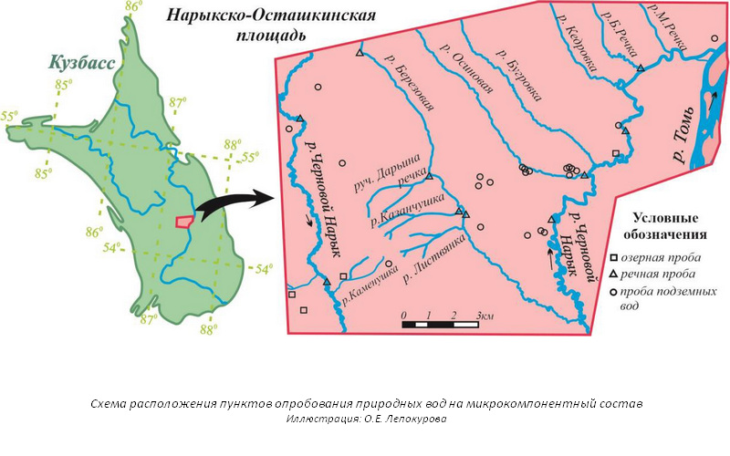 Сотрудники Томского филиала ИНГГ СО РАН исследовали элементный состав природных вод и вмещающих отложений Кузбасса
